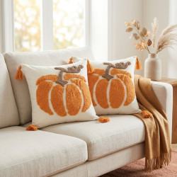 Cushion